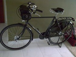 push bike trailer