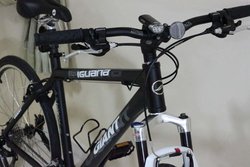 Giant Iguana 09 - Matt Black | Togoparts Rides