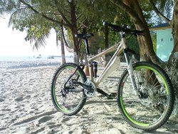 polygon collosus AX.1 2008 | Togoparts Rides