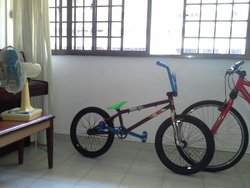 CUSTOM BMX , GOT SOME STOCK PARTS | Togoparts Rides