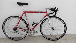 Colnago Sport Vintage bike | Togoparts Rides