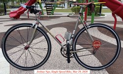 Passoni Classic Single Speed | Togoparts Rides