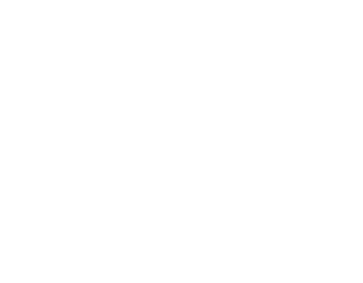 The cyclist Mess