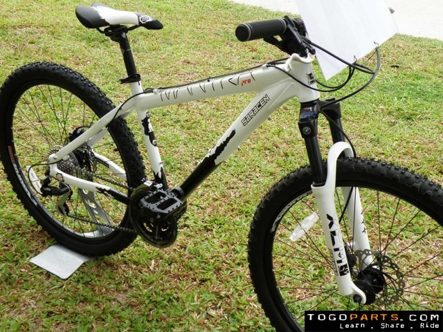 saracen mantra 2012